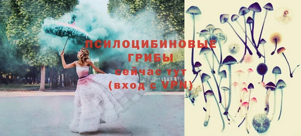 PSILOCYBIN Михайлов