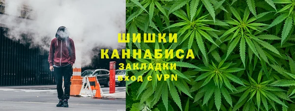 PSILOCYBIN Михайлов