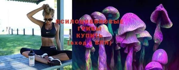 PSILOCYBIN Михайлов