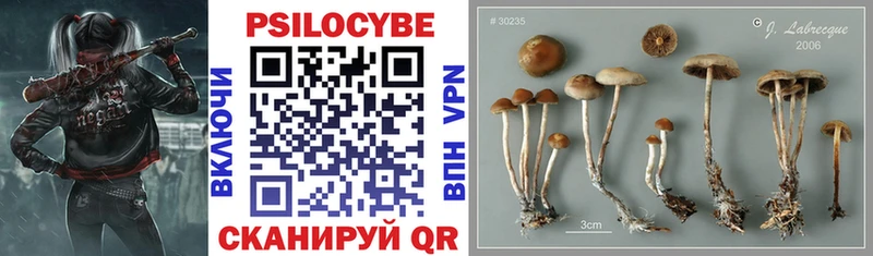 Псилоцибиновые грибы Cubensis  наркота  Находка 