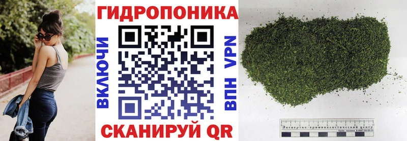 Шишки марихуана VHQ  hydra онион  Находка  где можно купить наркотик 